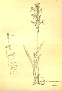 n158_w1150