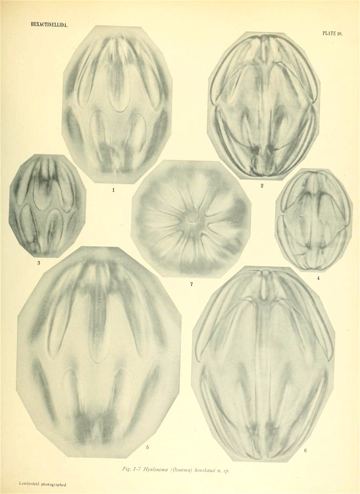 n802_w1150
