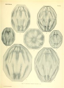 n802_w1150
