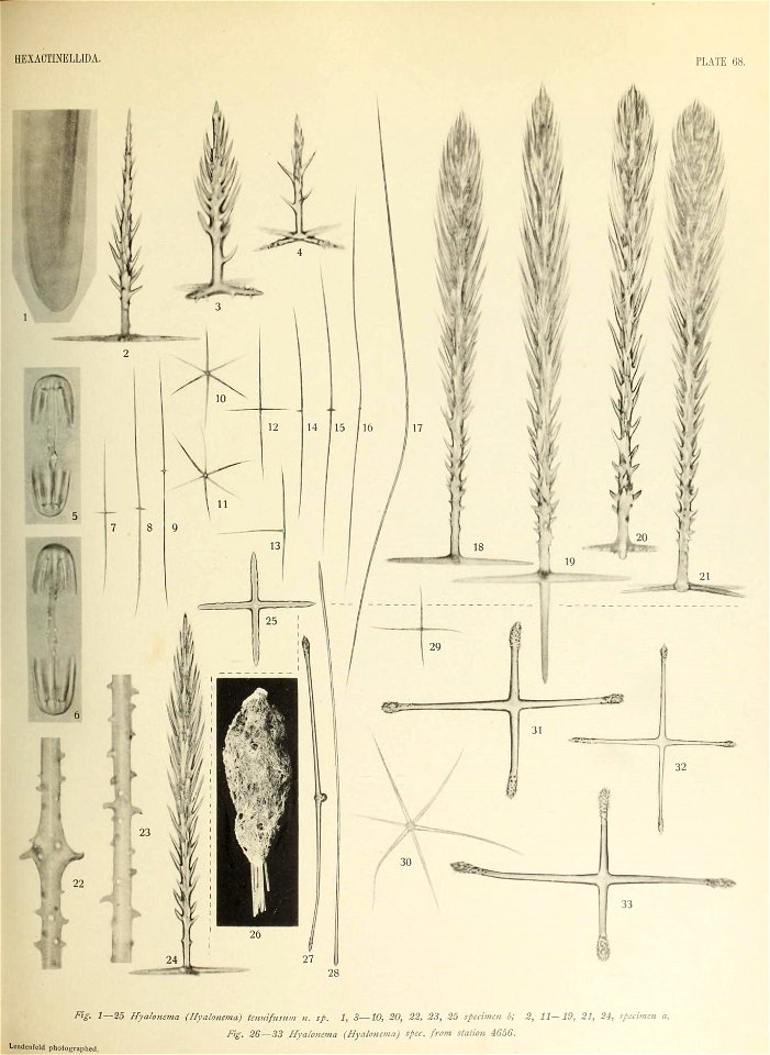 n682_w1150