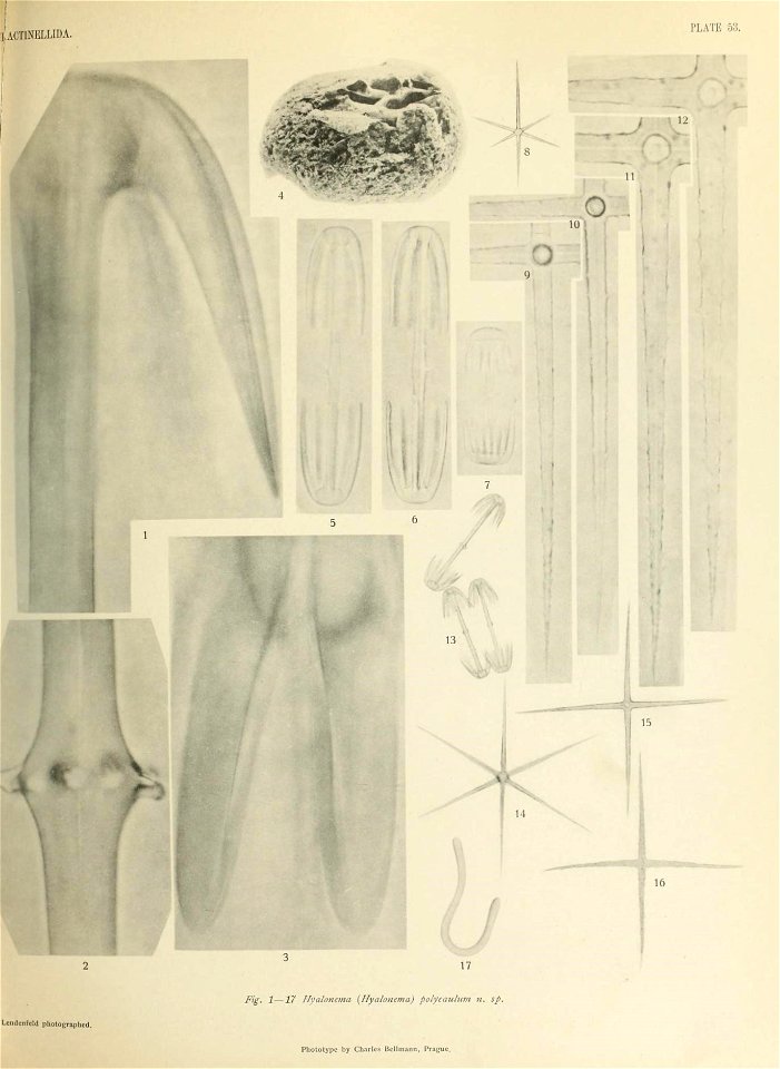 n622_w1150