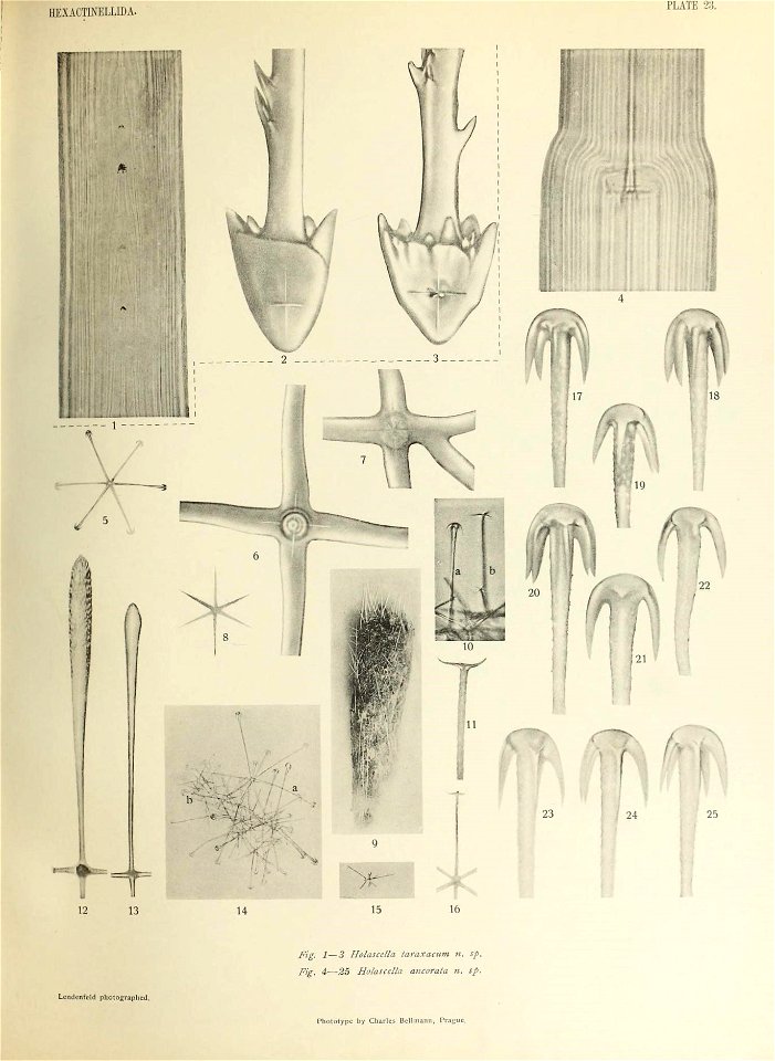 n502_w1150