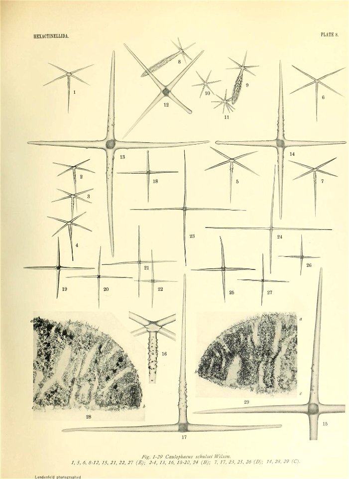 n442_w1150