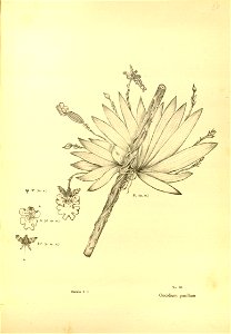 n202_w1150