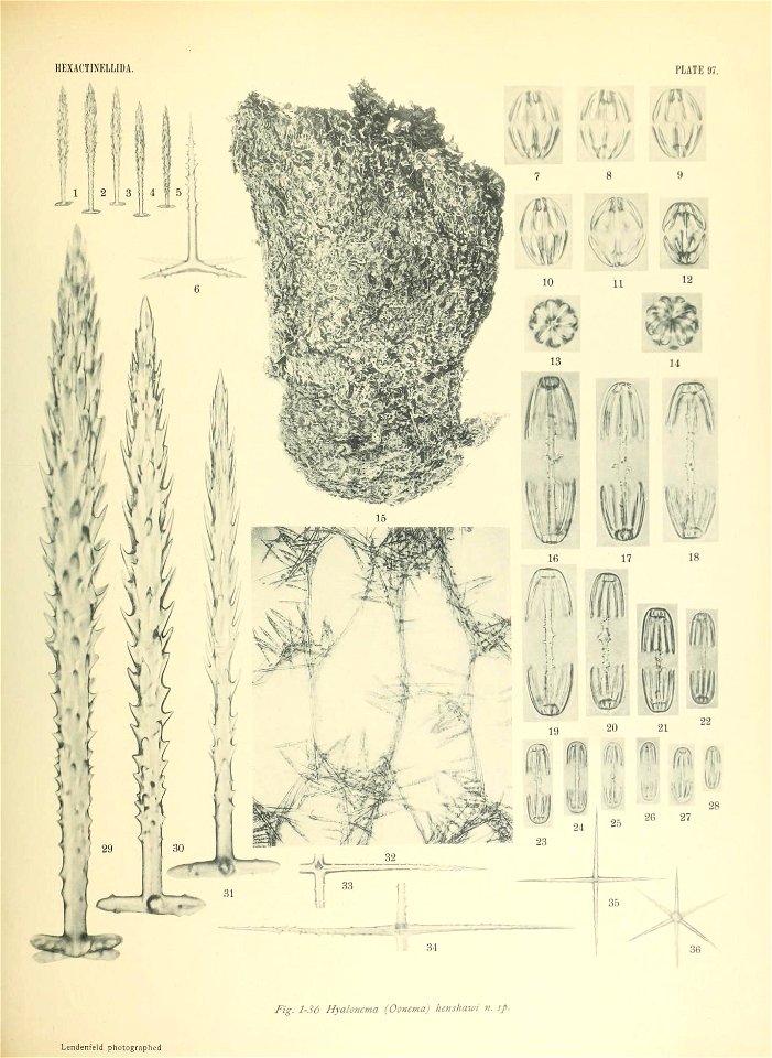 n798_w1150