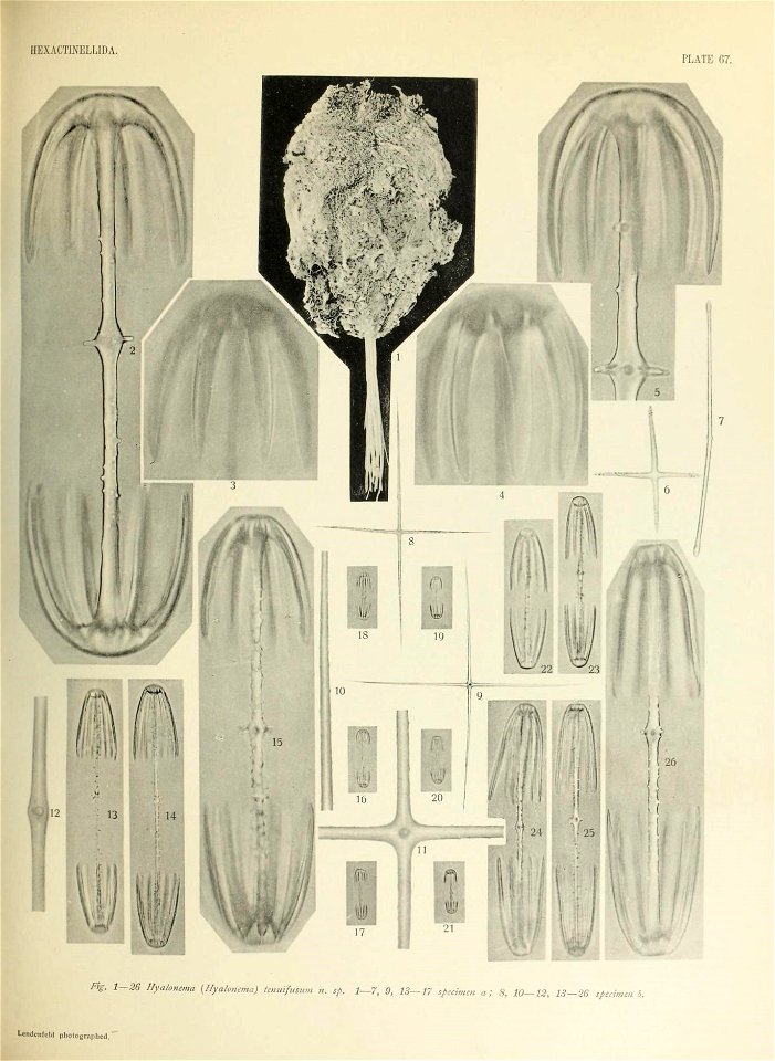 n678_w1150