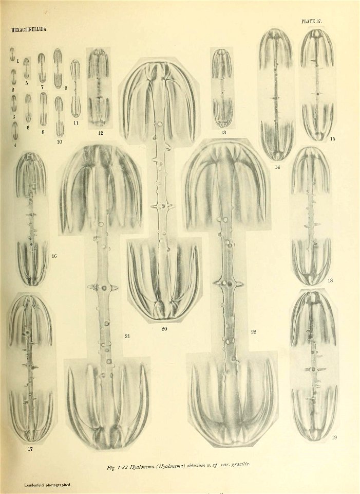 n558_w1150