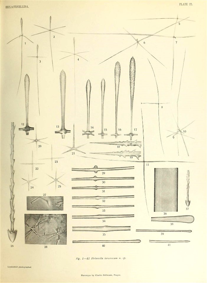 n498_w1150