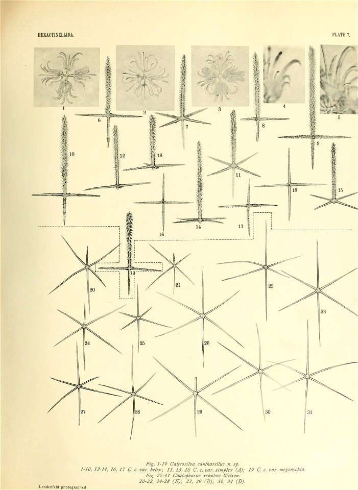 n438_w1150