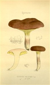 n137_w1150