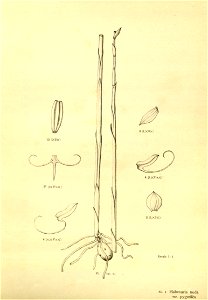 n156_w1150