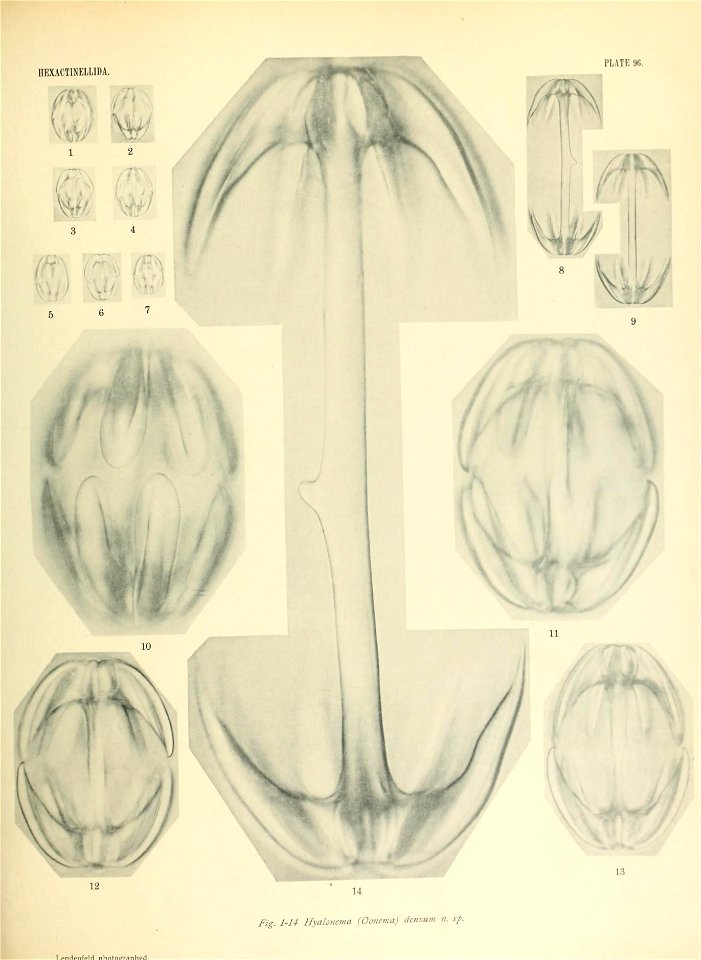 n794_w1150