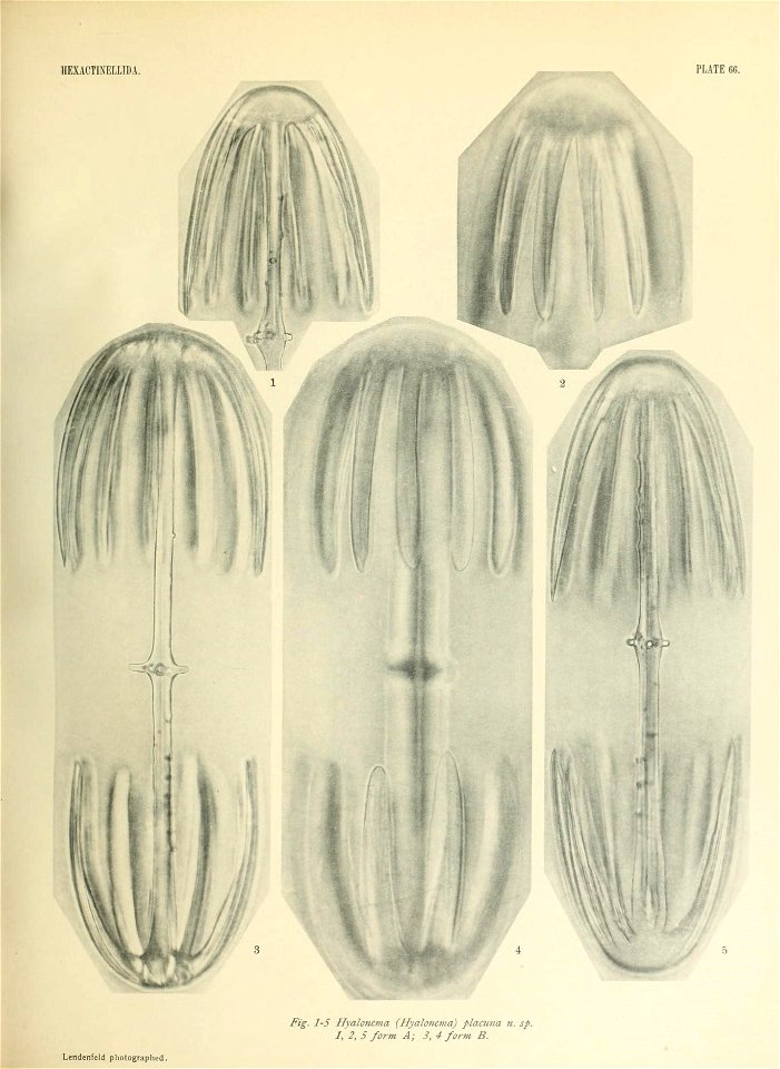 n674_w1150