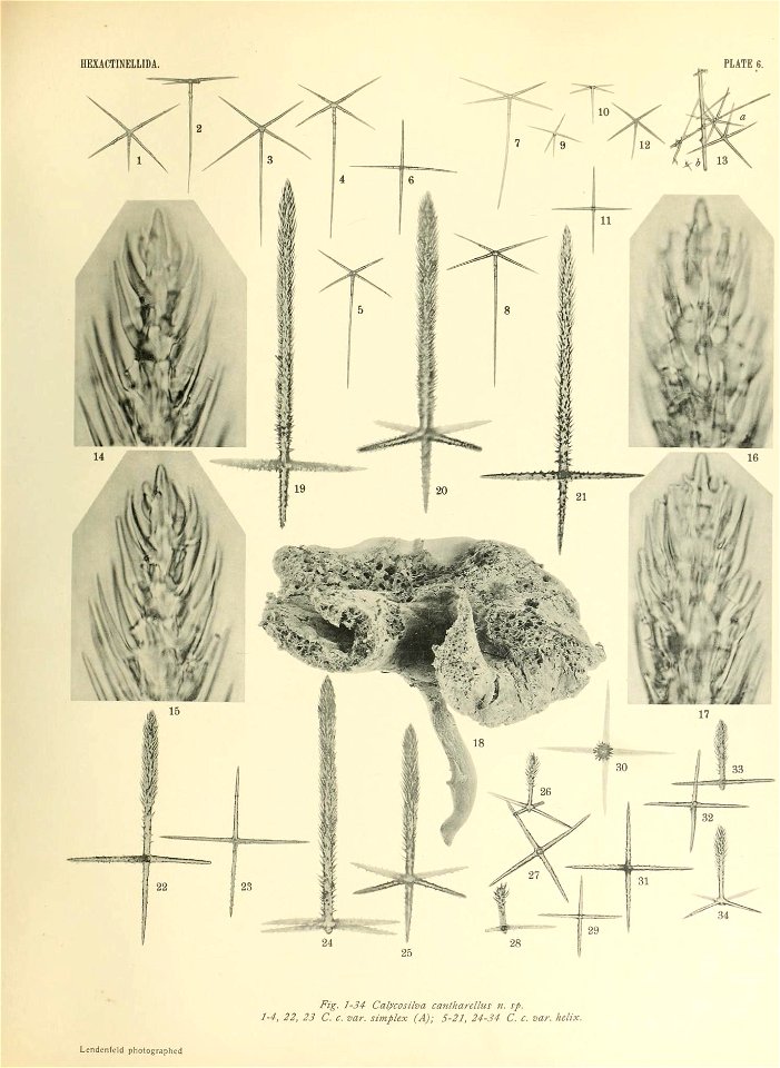 n434_w1150