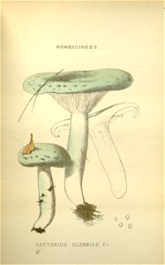 n114_w1150