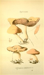 n196_w1150