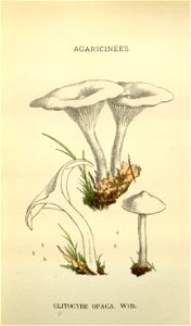 n136_w1150
