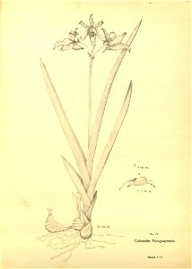 n169_w1150