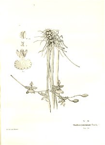n152_w1150