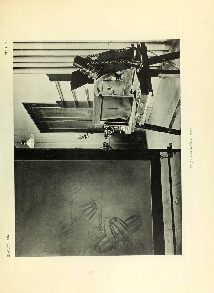 n846_w1150