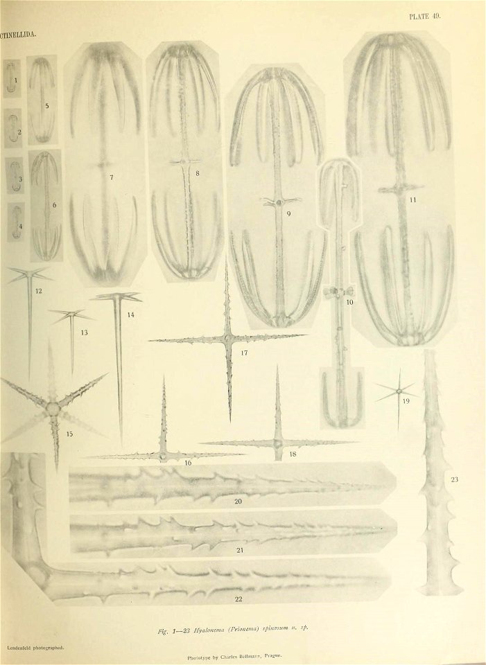 n606_w1150