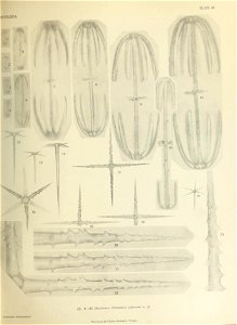 n606_w1150