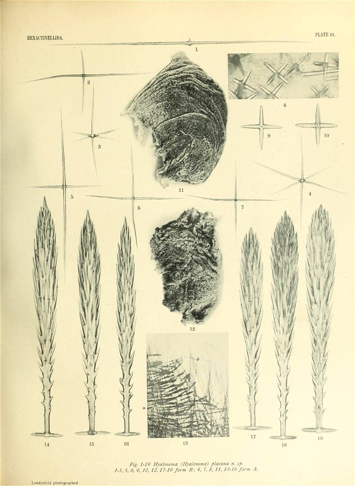 n666_w1150