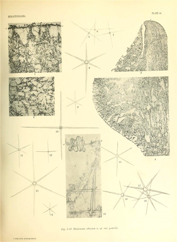 n546_w1150