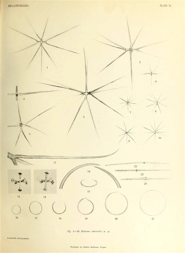 n486_w1150