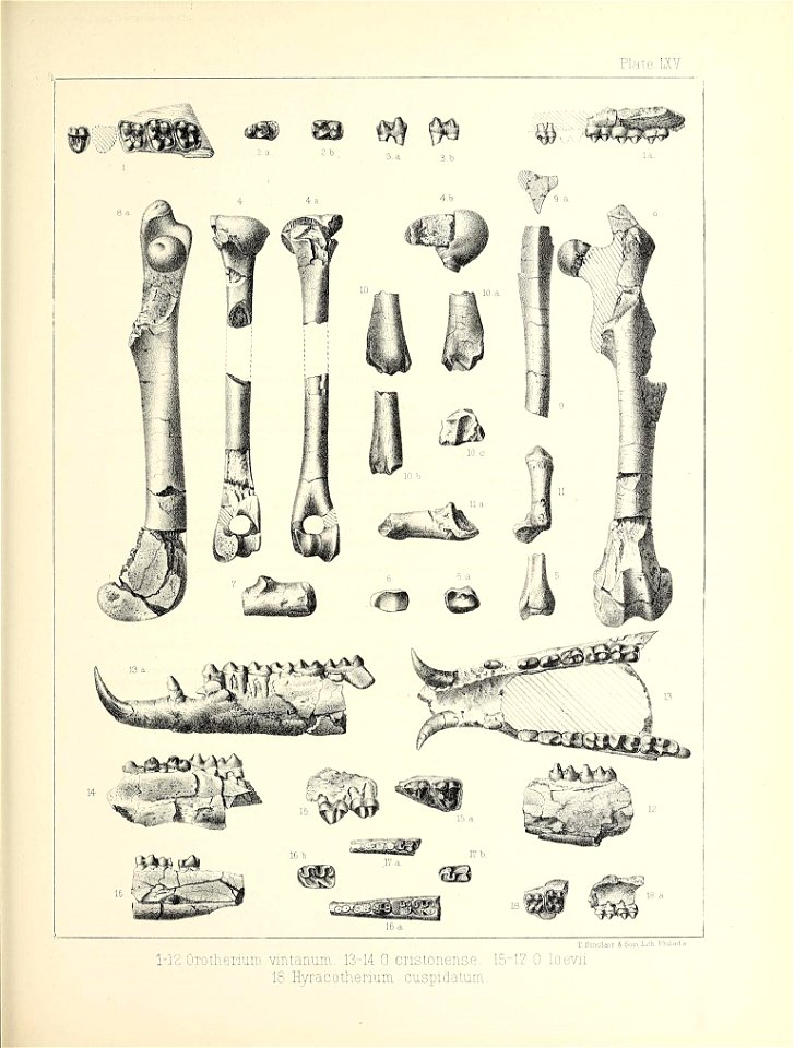n572_w1150