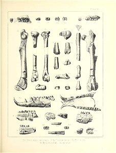 n572_w1150