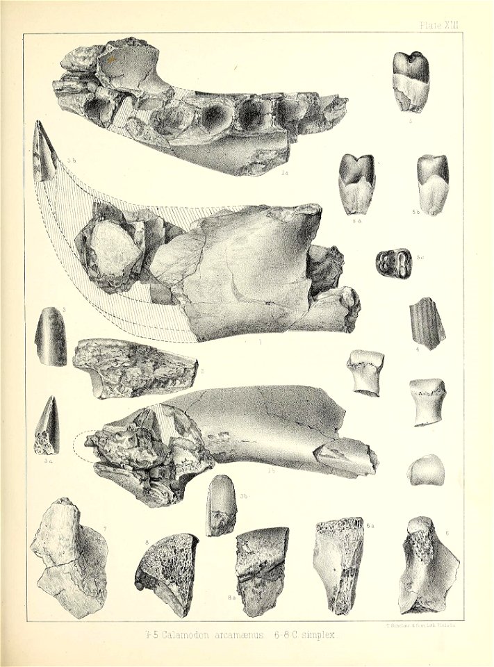 n480_w1150