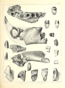 n480_w1150