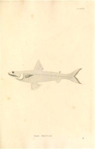 n470_w1150