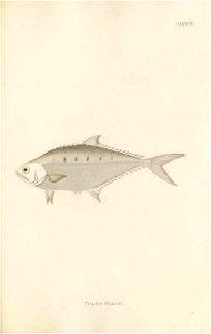 n410_w1150