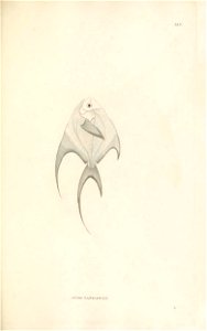 n166_w1150