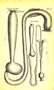 n512_w1150