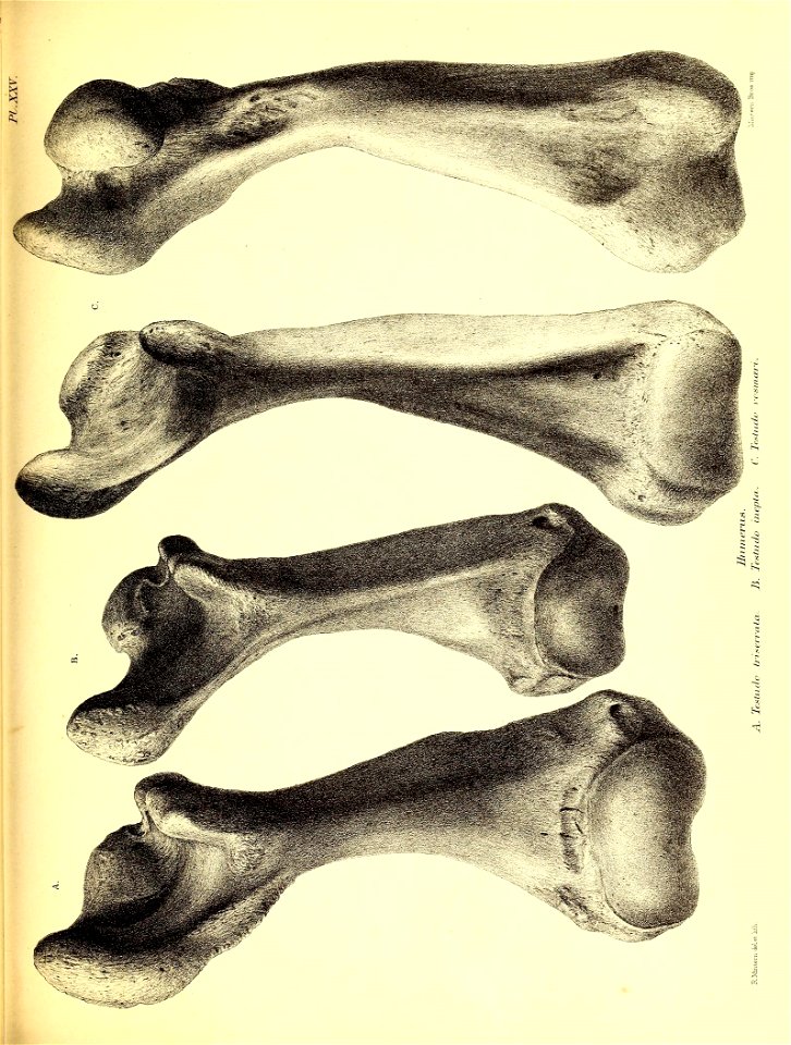 n168_w1150