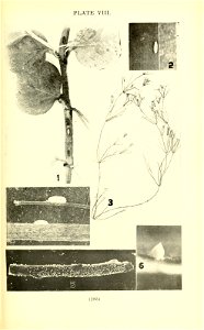n300_w1150