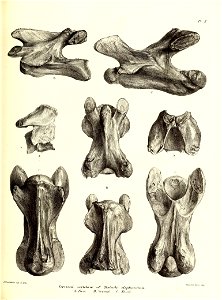 n128_w1150