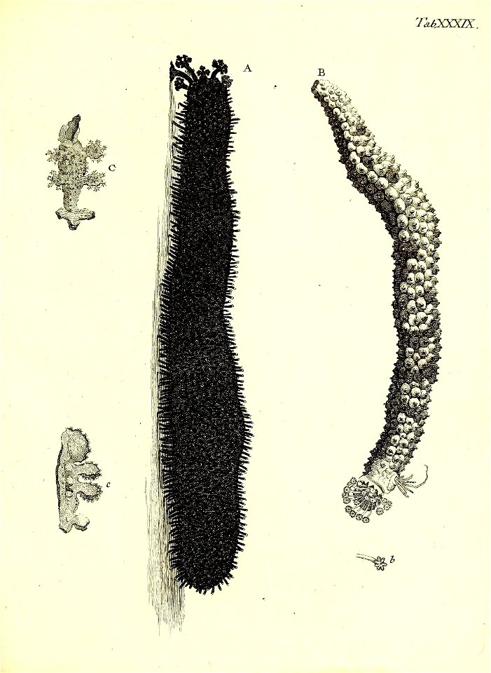 n192_w1150
