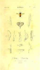 n352_w1150