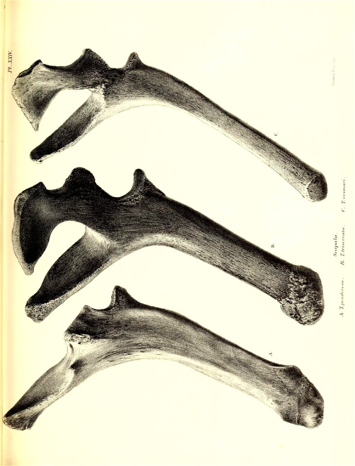 n166_w1150