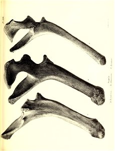 n166_w1150