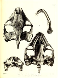 n126_w1150