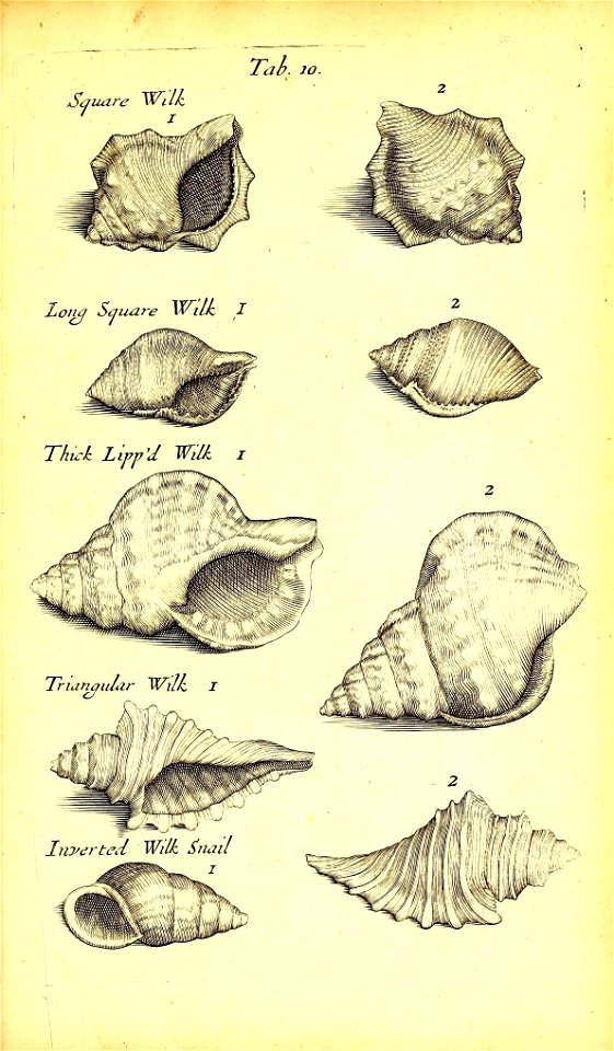 n478_w1150