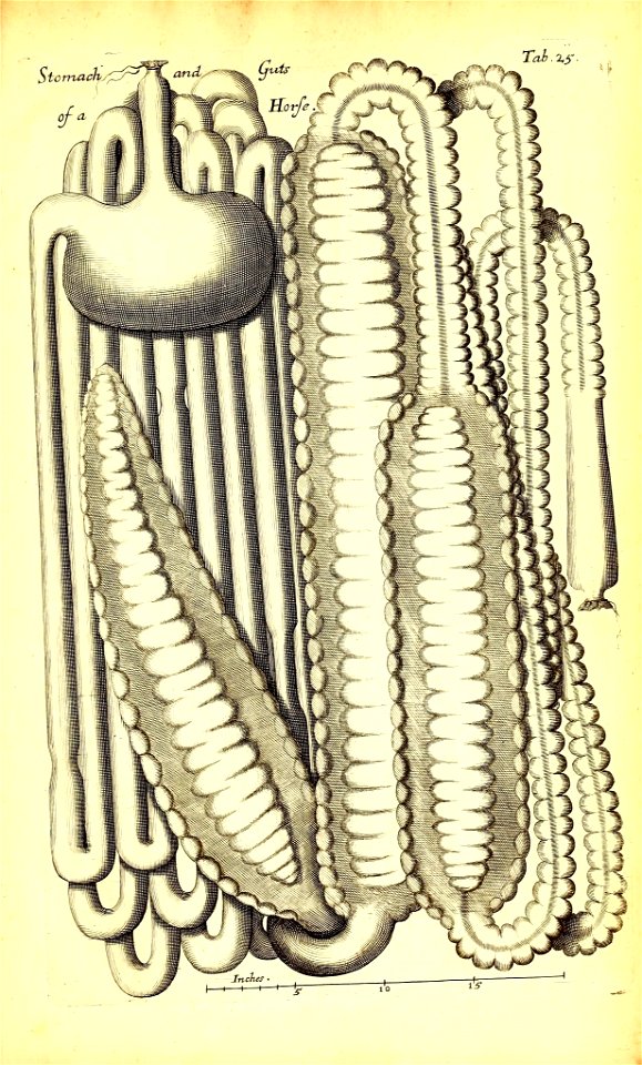 n508_w1150