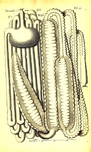 n508_w1150