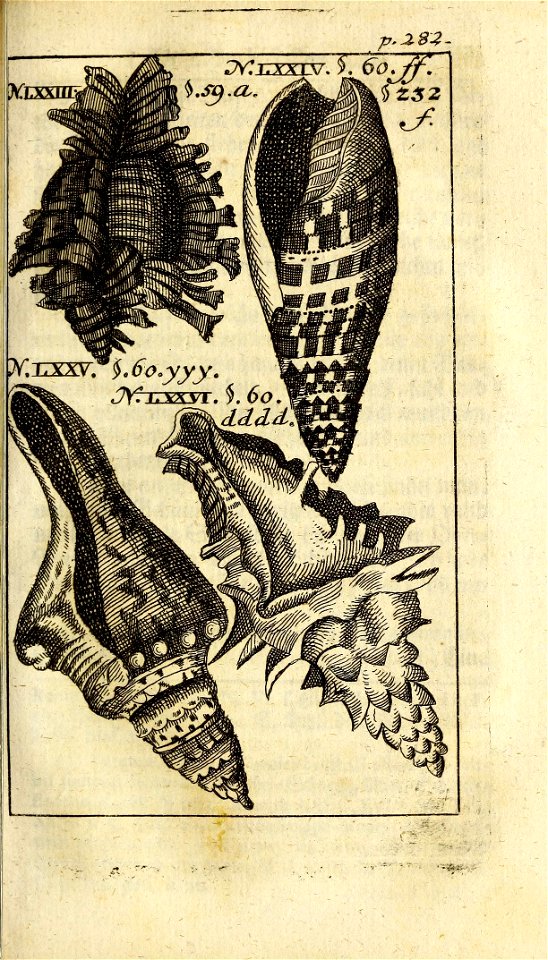 n316_w1150
