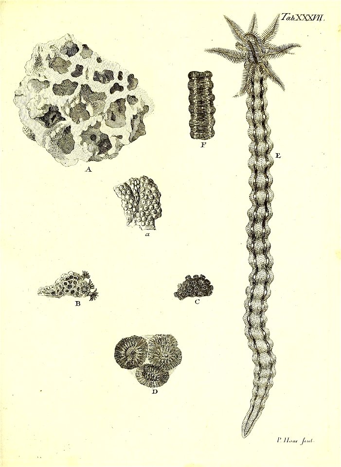 n184_w1150